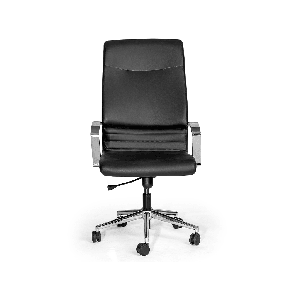 Ergonomischer Chefsessel mit Wippmechanik--2